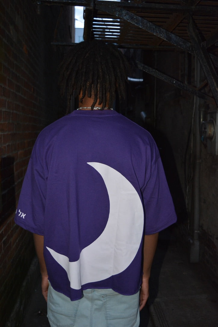 Purple DND OVERSIZED CROPPED TEE