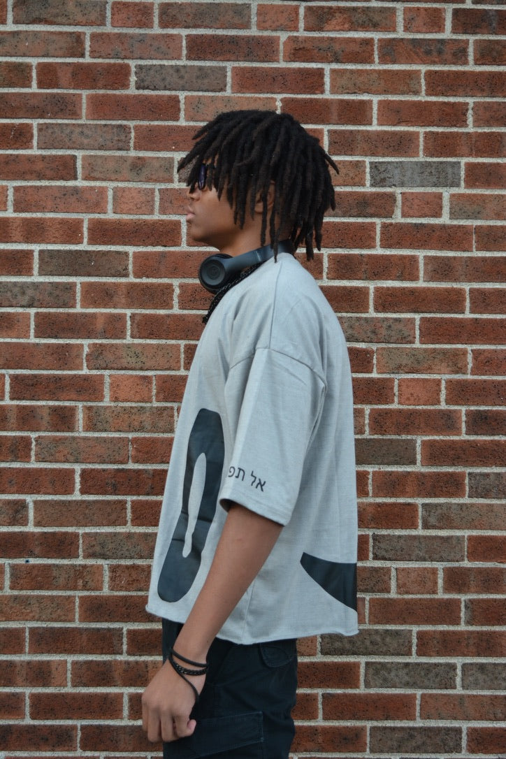 Gray DND OVERSIZED CROPPED TEE