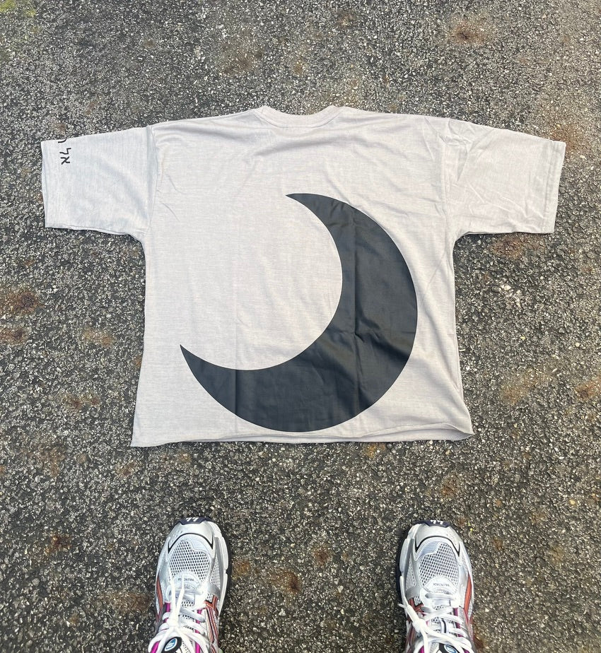 Gray DND OVERSIZED CROPPED TEE