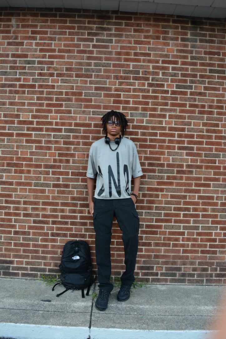 Gray DND OVERSIZED CROPPED TEE